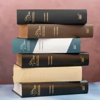 Studienbibel Segond NEG MacArthur, französisch - Hardcover, Skyvertex schwarz