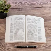 NGÜ Neues Testament mit Psalmen und Sprüche - Broschiert Design-Edition