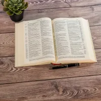 Bibel Schlachter 2000 - Mit Parallelstellen und Studienhilfen - classic