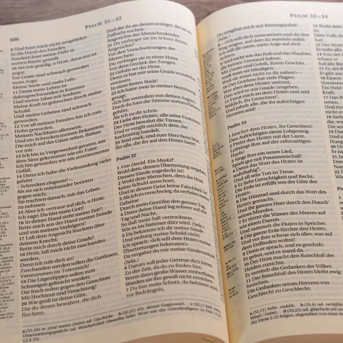 Bibel Schlachter 2000 - Mit Parallelstellen und Studienhilfen - classic