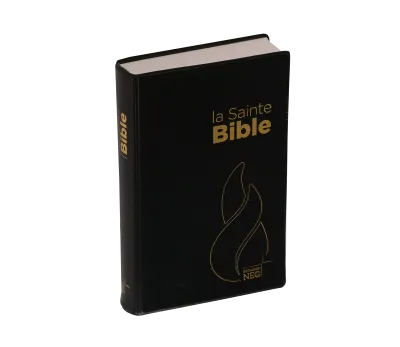 BIBEL NEG, KOMPAKT, PLASTIK, SCHWARZ