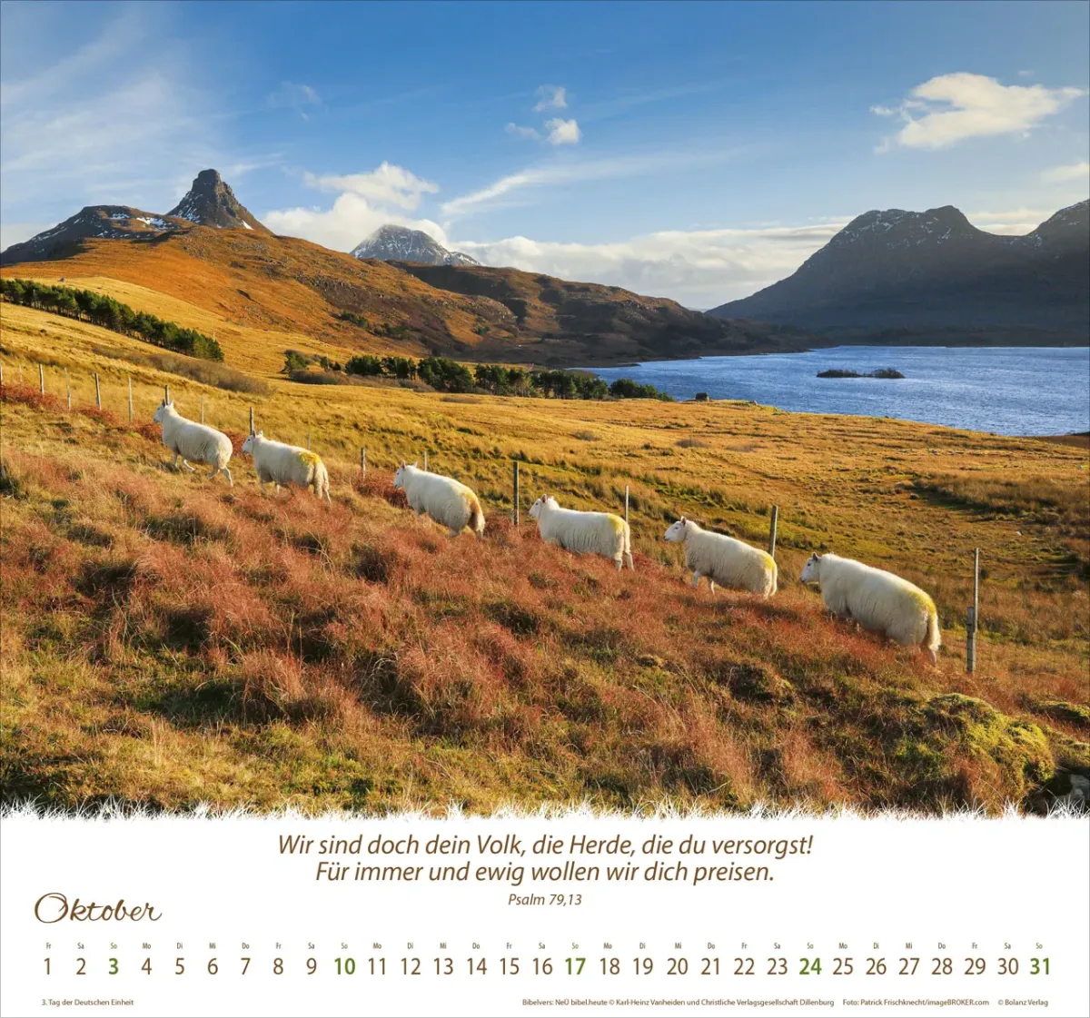 Ein Leben für die Schafe - Wandkalender