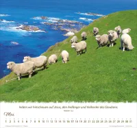 Ein Leben für die Schafe - Wandkalender