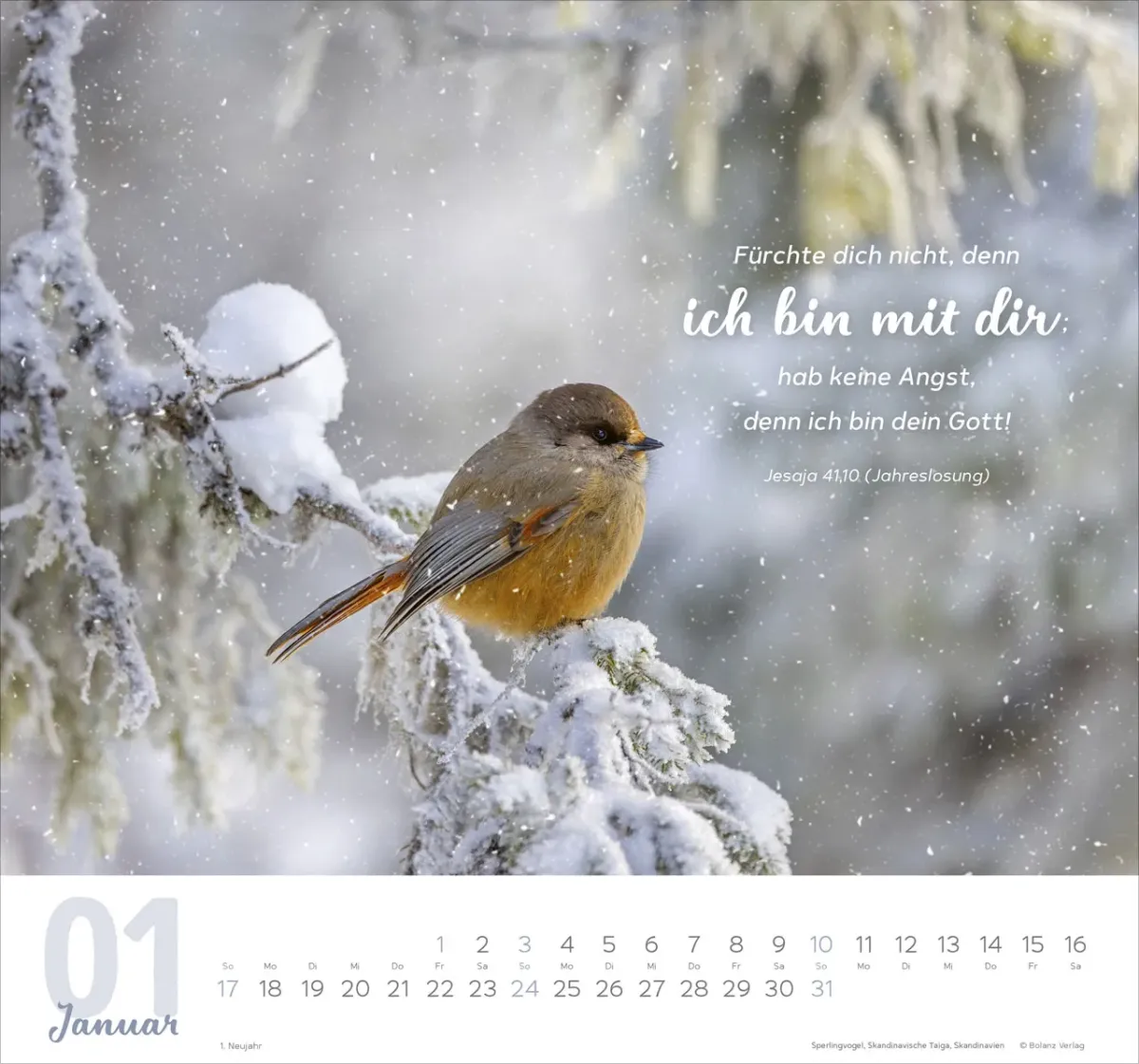 Meine Zeit - Hoffnung und Vertrauen für ein ganzes Jahr - Wandkalender