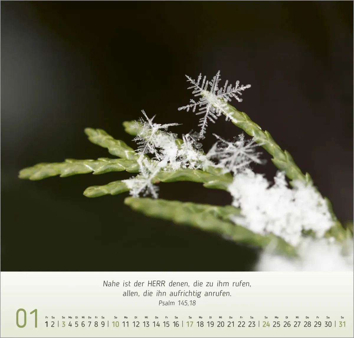 Gesichter der Natur - Wandkalender