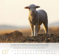 Psalm 23 - Der Herr ist mein Hirte - Wandkalender