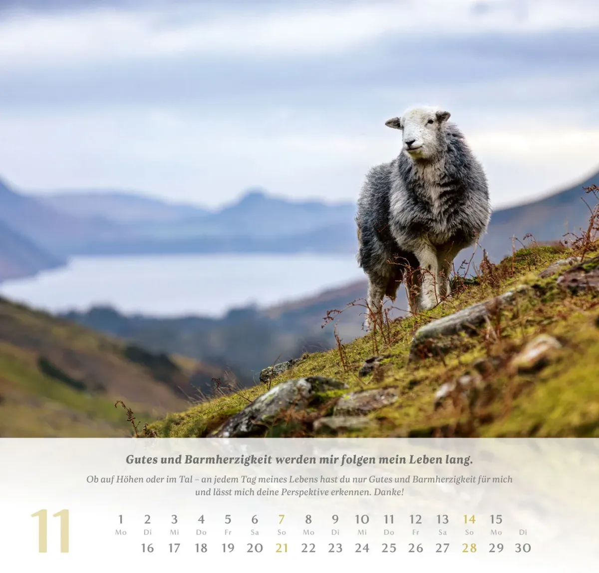 Psalm 23 - Der Herr ist mein Hirte - Wandkalender