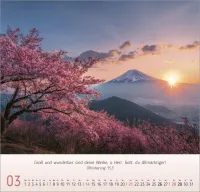 Licht Impressionen - Wandkalender