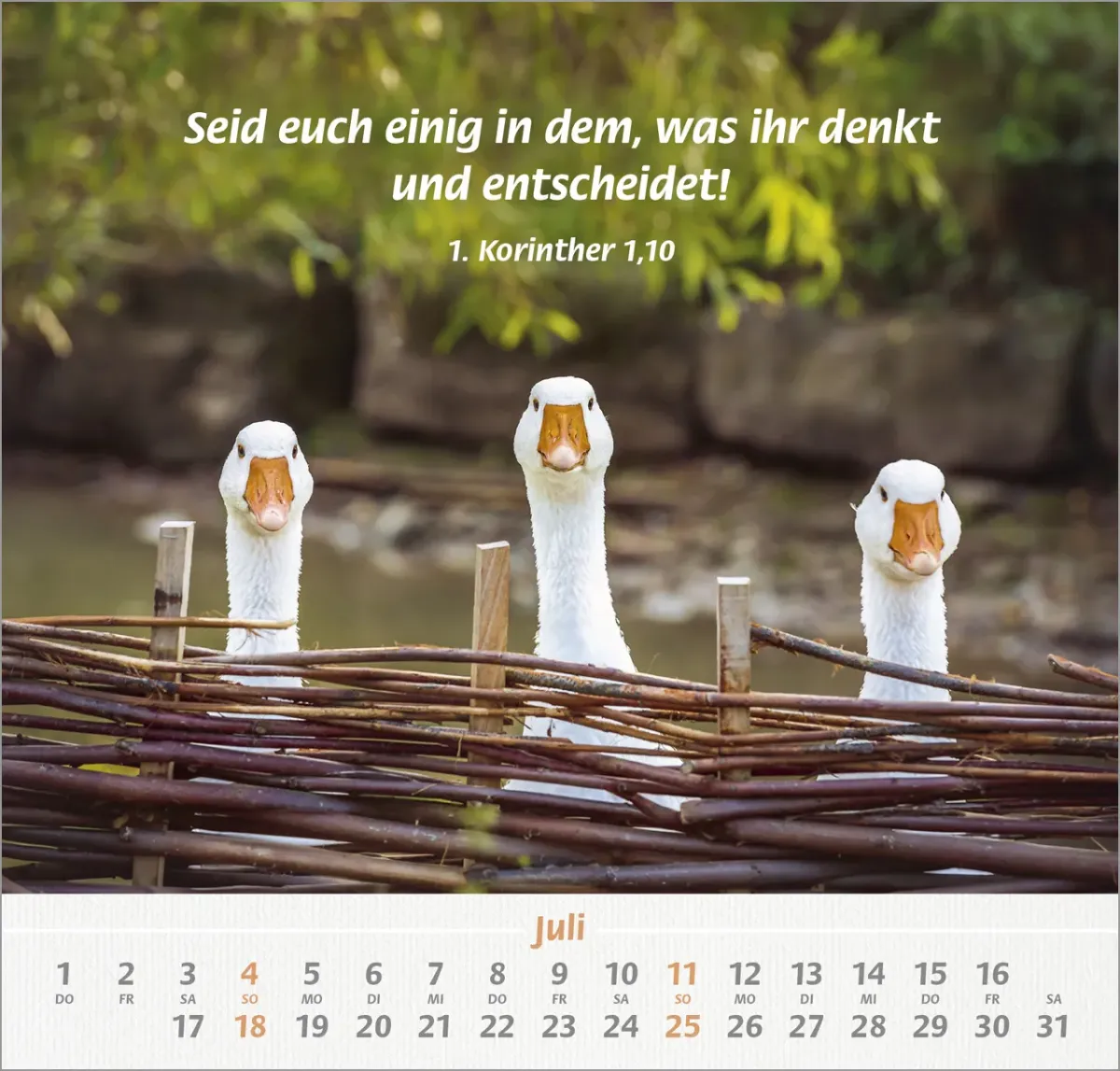Ich hab dich gern - Wandkalender