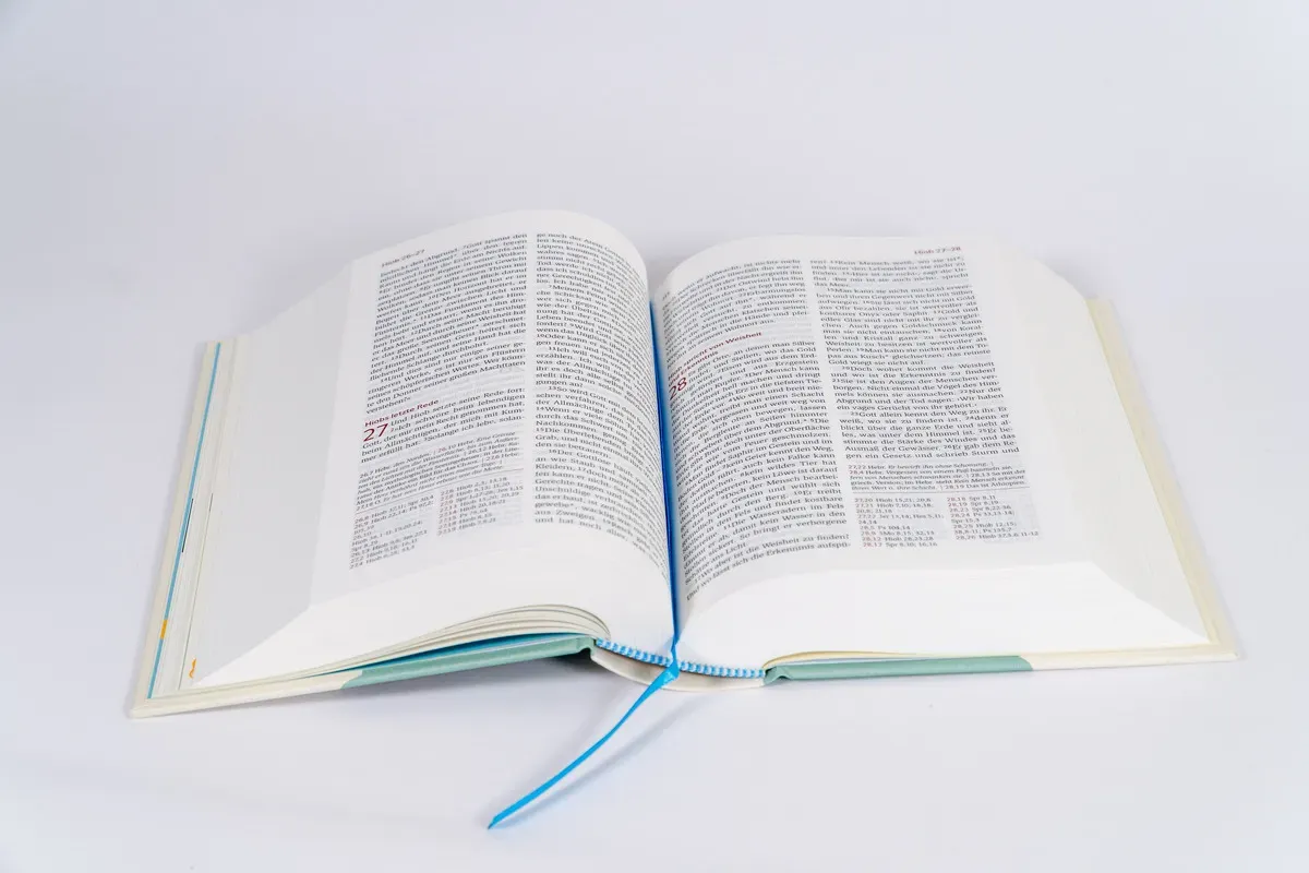 Neues Leben - Die Bibel für Kids