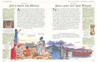 Die große illustrierte Kinderbibel - Geschichten und Menschen des Alten und Neuen Testaments