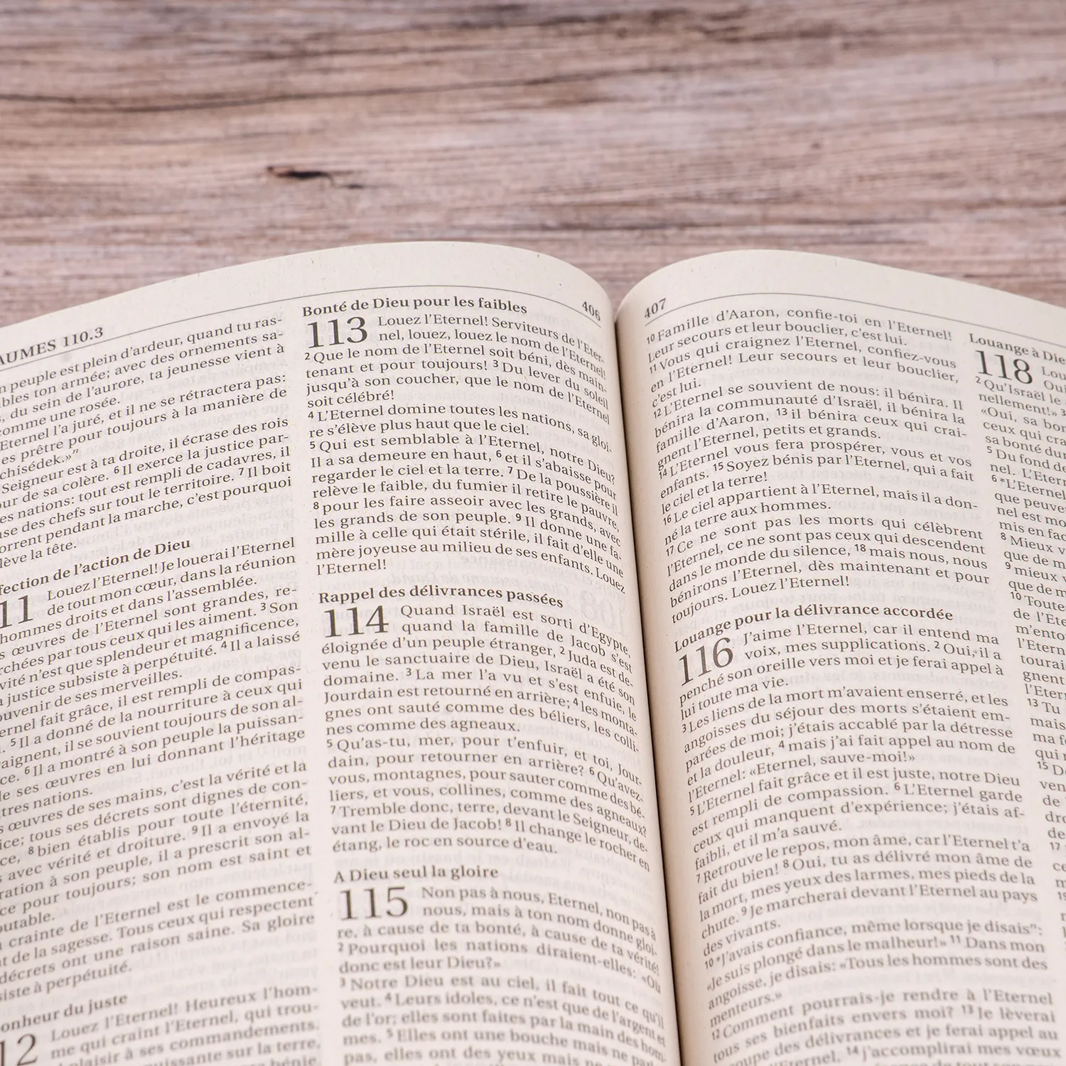 Bibel Segond 21, französisch - broschiert, Recyclingpapier