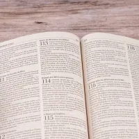 Bibel Segond 21, französisch - broschiert, Recyclingpapier