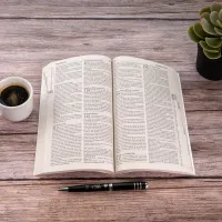 Bibel Segond 21, französisch - broschiert, Recyclingpapier