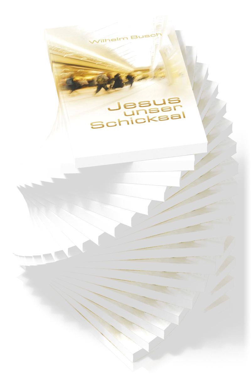 Jesus unser Schicksal - SpecialEdition - VP-Einheit  20 Exemplare - gekürzte Ausgabe