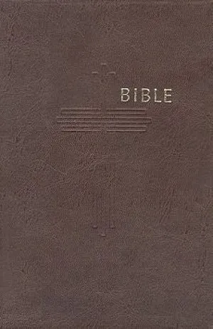 Tschechisch, Bibel, oekumenische Übersetzung, gebunden