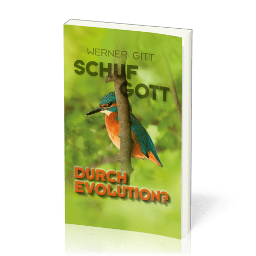 Schuf Gott durch Evolution?