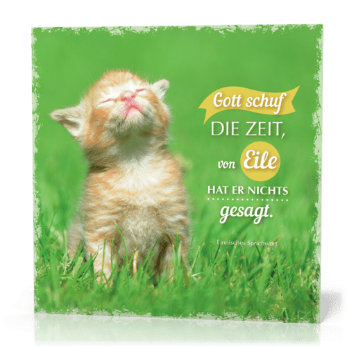 Metalltafel Gott schuf die Zeit/Katze - 13 x 13 cm