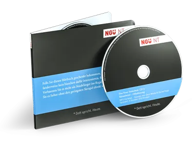 Das Neue Testament als Hörbuch auf MP3 (2 CD)