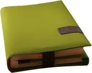 BookSkin lindgrün