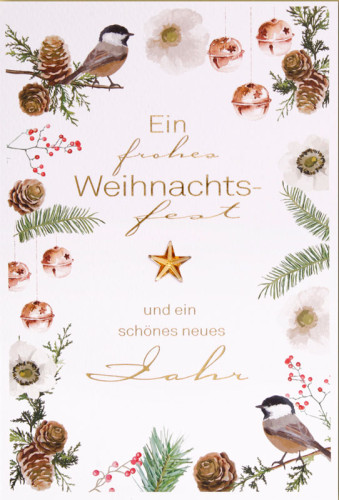 Doppelkarte Weihnachten Meisen