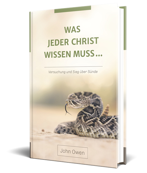 Was jeder Christ wissen muss ... - Versuchung und Sieg über Sünde