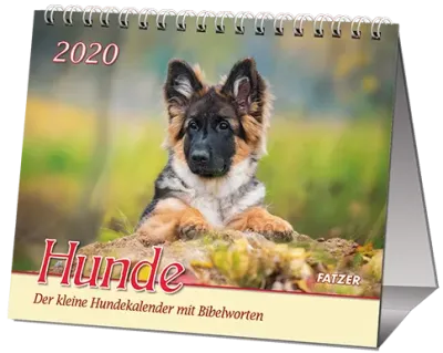 HUNDE - TISCHKAL.