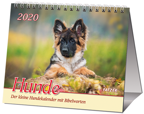 HUNDE - TISCHKAL.