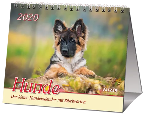 HUNDE - TISCHKAL.