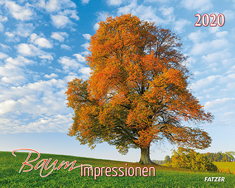 BAUM-IMPRESSION