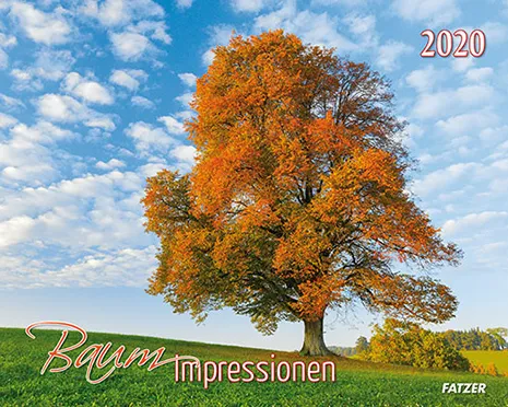 BAUM-IMPRESSIONEN