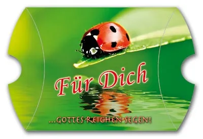 Für dich… Gottes reichen Segen - Geschenkschachtel leer