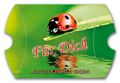 Für dich… Gottes reichen Segen - Geschenkschachtel leer