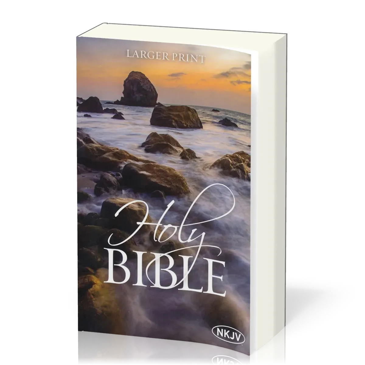Englisch, Bibel New King James Version, broschiert, illustrierter Einband, Grossdruck