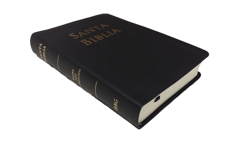 Spanisch, Bibel RVR 1602 Purificada - Softcover, schwarz, Standard