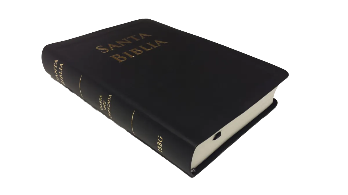 Spanisch, Bibel RVR 1602 Purificada - Softcover, schwarz, Standard