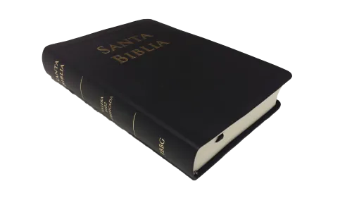 Spanisch, Bibel RVR 1602 Purificada - Softcover, schwarz, Standard
