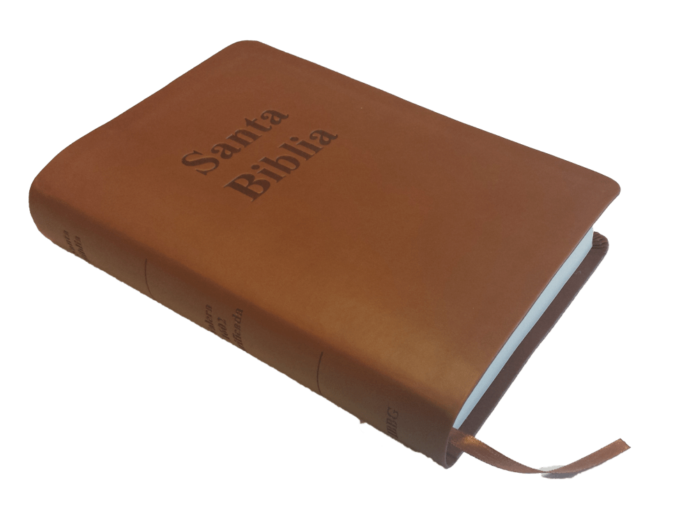 Spanisch, Bibel RVR 1602 Purificada -  Softcover, braun,  Standard