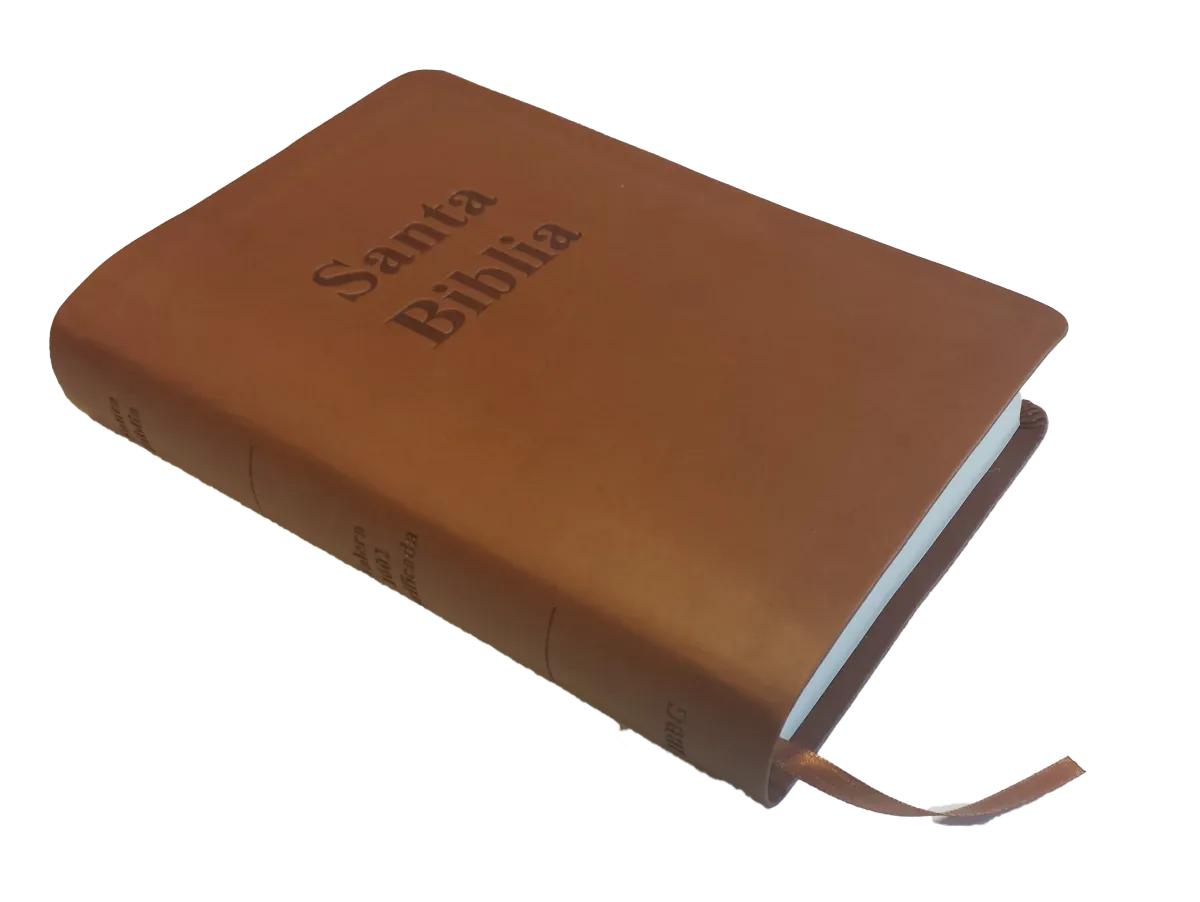 Spanisch, Bibel RVR 1602 Purificada -  Softcover, braun,  Standard