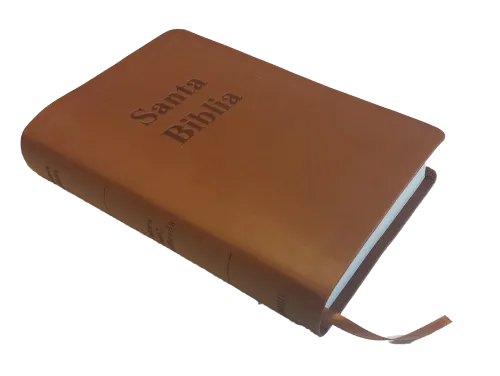 Spanisch, Bibel RVR 1602 Purificada -  Softcover, braun,  Standard