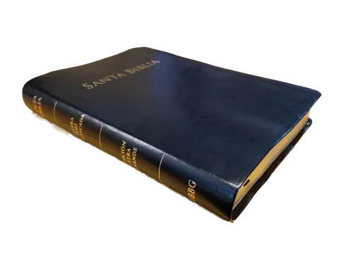 Spanisch, Bibel RVR 1602 Purificada - Grossdruck, Softcover, Goldschnitt, schwarz