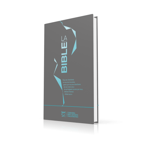 Segond 21 Slim Bibel, französisch, silberne Motive blau - Hardcover