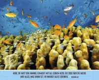 Aufstellbuch Shalom für Israel