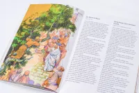 Abenteuer der Bibel - Kinderbibel in 30 Bänden