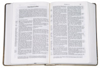 Bibel Schlachter 2000, Taschenausgabe - Motiv Tulpe - Parallelstellen - neue Rechtschreibung -...