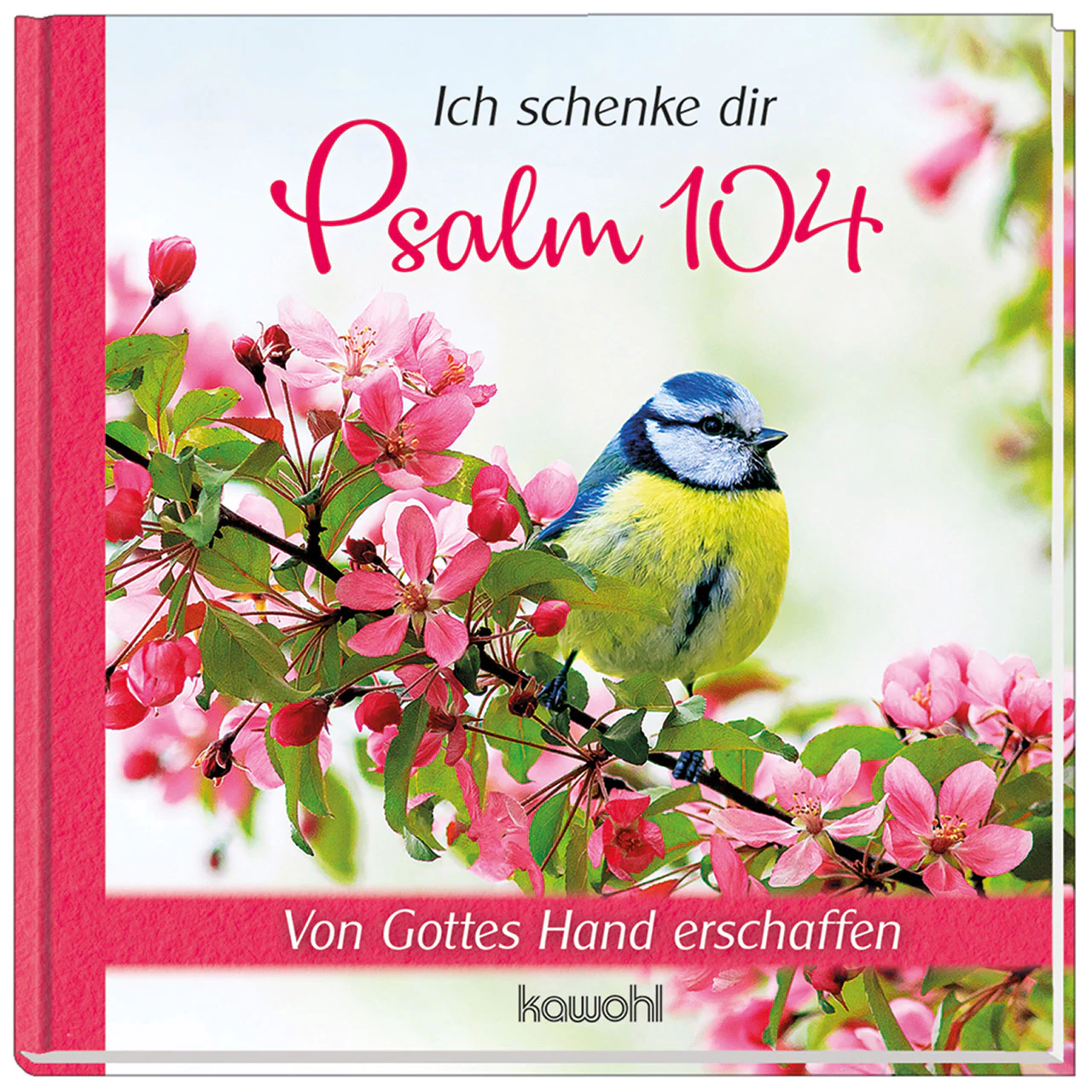 Ich schenke dir Psalm 104 - Von Gottes Hand erschaffen
