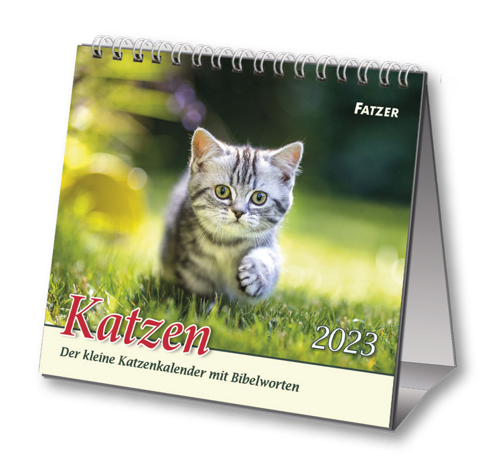 Katzen - Tischkalender