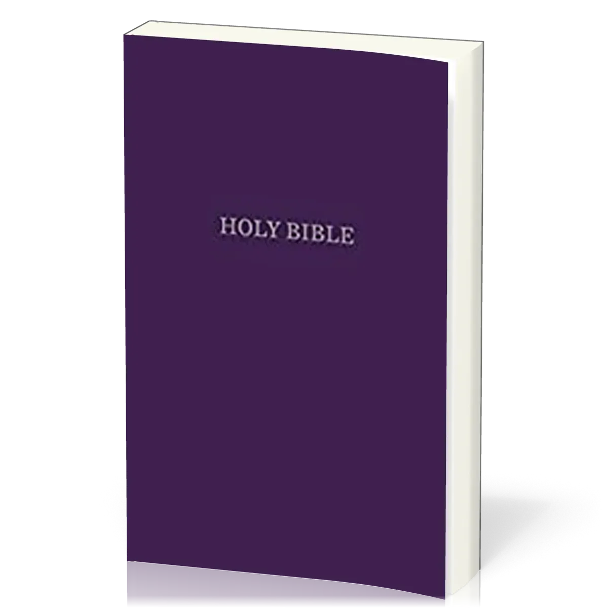 Englisch, Bibel King James Version, Gift & Award Bible, lila