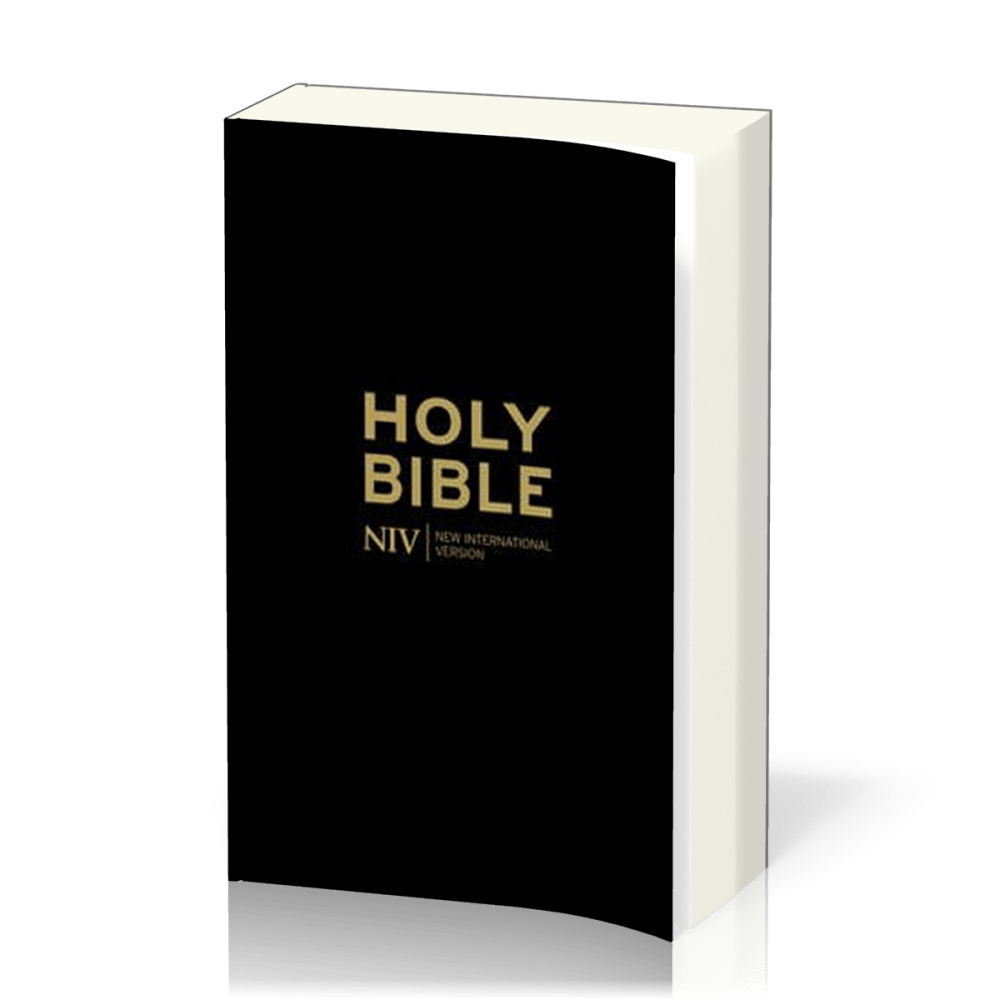 Englisch, Bibel New International Version, Gift & Award