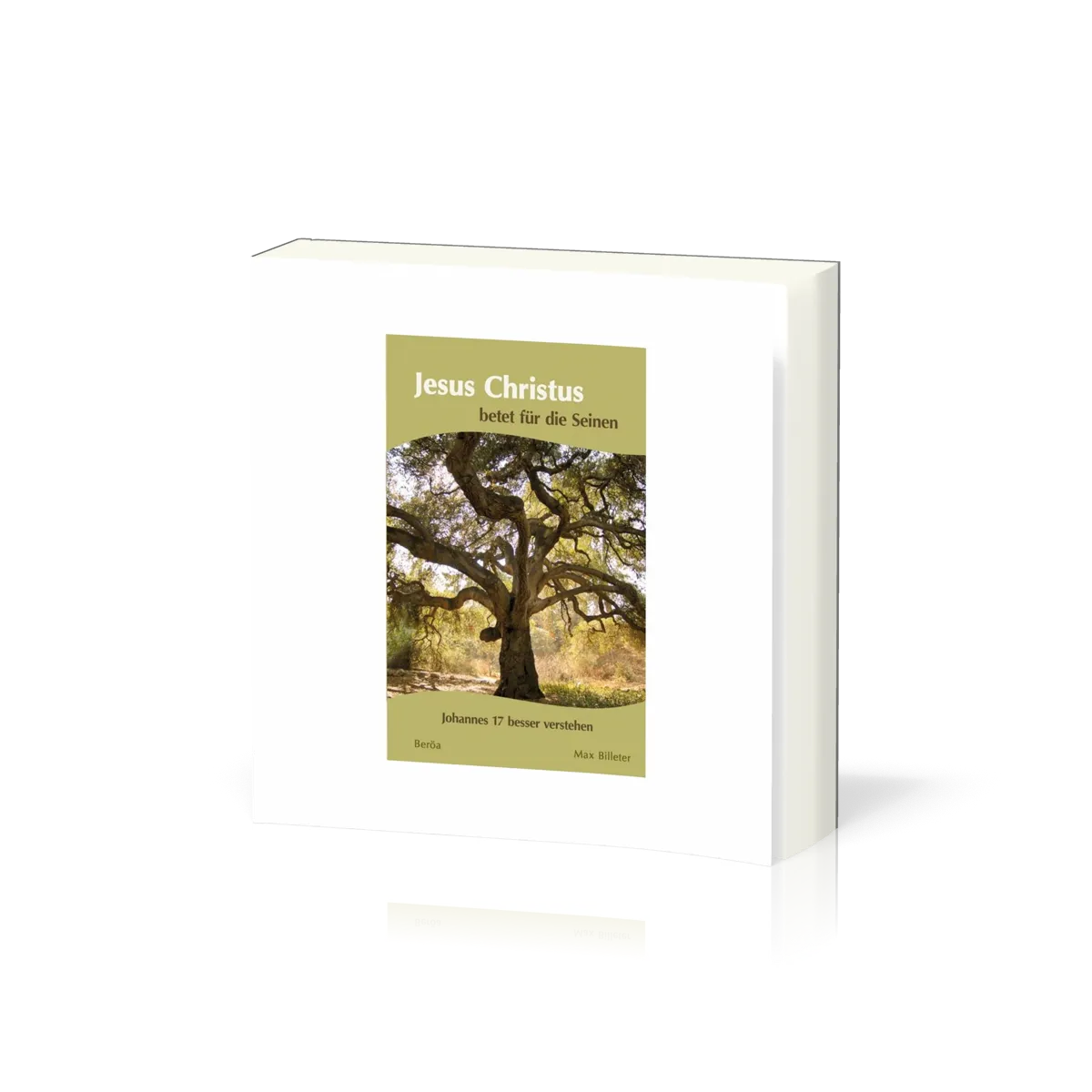 JESUS CHRISTUS BETET FÜR DIE SEINEN - JOHANNES 17 BESSER VERSTEHEN